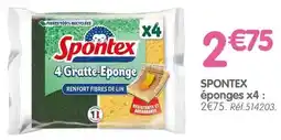 b&m Spontex - eponges offre