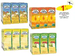 Stokomani Don Simon Les 6 briques de jus de fruit offre