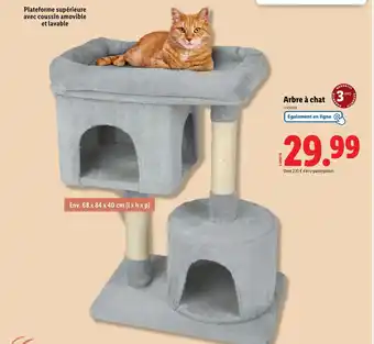 Lidl Arbre à chat offre