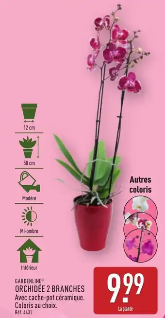 ALDI Gardenline orchidée 2 branches offre