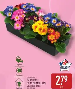 ALDI Gardenline barquette de 10 primevères offre