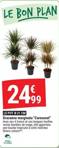 Gamm vert Le pot 9 21 cm offre