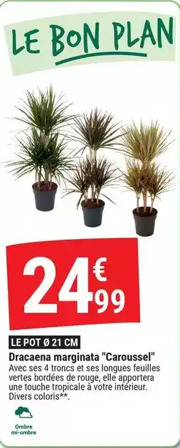 Gamm vert Le pot 9 21 cm offre