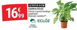 Gamm vert Ecloz - calabatea offre