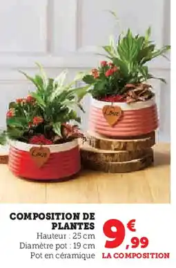 Hyper U Composition de plantes offre