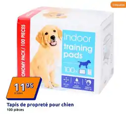 Action Tapis de propreté pour chien offre