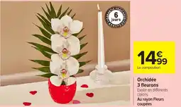 Carrefour Orchidée 3 fleurons offre