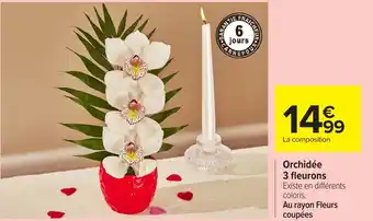 Carrefour Orchidée 3 fleurons offre