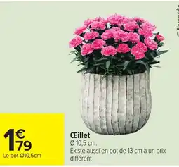 Carrefour Œillet offre