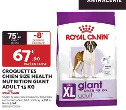 Bricomarché Royal canin croquettes chien size health nutrition giant adult offre