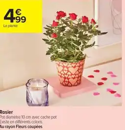 Carrefour Contact Rosier offre