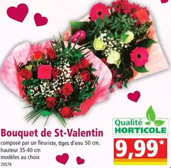 Norma Qualité horticole bouquet de st-valentin offre