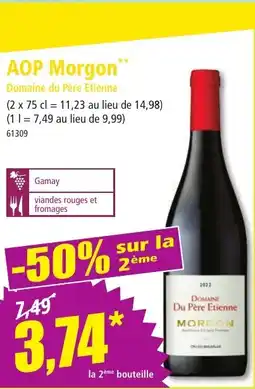 Norma AOP Morgon Domaine du Père Etienne offre