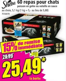 Norma SHEBA 60 repas pour chats offre