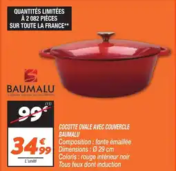 Netto BAUMALU Cocotte ovale avec couvercle offre