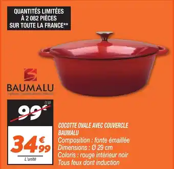 Netto BAUMALU Cocotte ovale avec couvercle offre