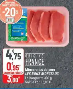 G20 LES BONS MORCEAUX Mincerettes de porc offre