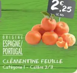 G20 Clementine feuille offre