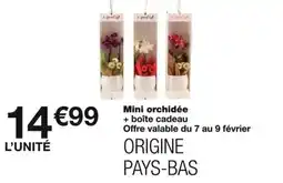 Monoprix Mini orchidée offre