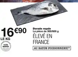 Monoprix Élevé en france Dorade royale offre