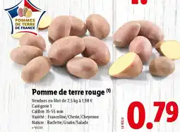 Lidl Pomme de terre rouge offre