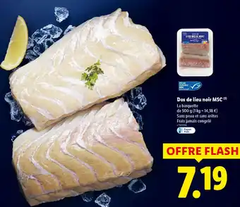 Lidl Dos de lieu noir MSC offre