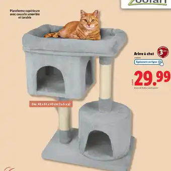 Lidl ZOOFARI Arbre à chat offre