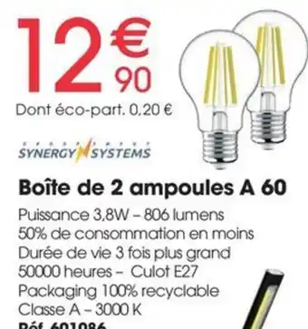 Brico Pro SYNERGY SYSTEMS Boîte de 2 ampoules A 60 offre