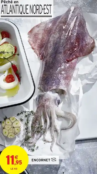 Intermarché Hyper Encornet offre