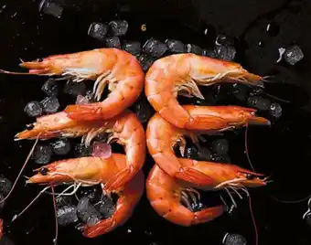 Thiriet Queues de crevettes "cocktail" décortiquées cuites offre