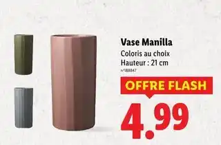 Lidl Vase Manilla offre