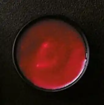 Thiriet Coulis de framboise offre