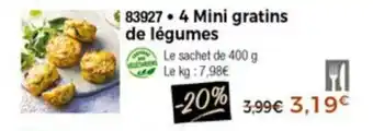 Thiriet 4 Mini gratins de légumes offre