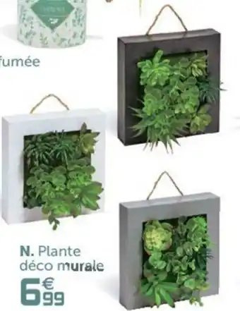 Gifi Plante Déco Murale offre