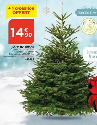 Bi1 Sapin Nordmann offre