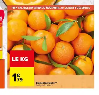 Clementine Feuille