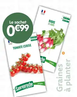 b&m Sanreproche Sachet de graines à planter offre