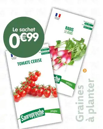 b&m Sanreproche Sachet de graines à planter offre