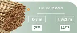 b&m Canisse Roseaux offre