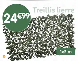 b&m Treillis lierre artificiel extensible offre