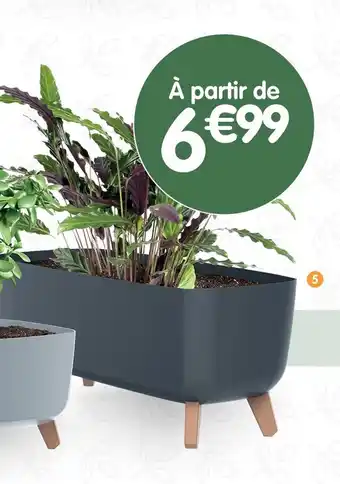 b&m Jardinière GRACIA offre