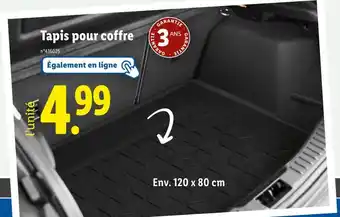 Lidl Tapis pour coffre offre