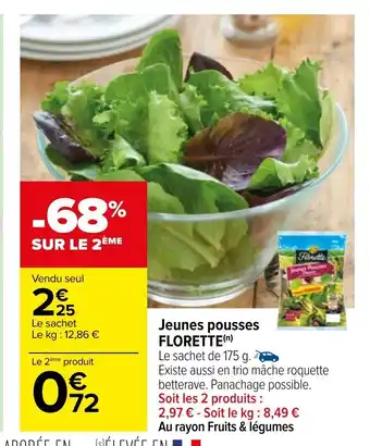 Carrefour Jeunes Pousses Florette offre