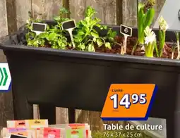 Action Table de culture offre