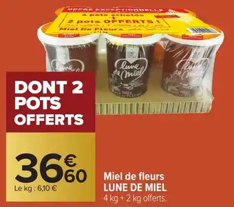 Carrefour LUNE DE MIEL Miel de fleurs offre