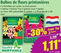 Norma Bulbes de fleurs printanières offre