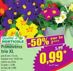 Norma Primevères trio XL offre