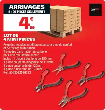 Brico Dépôt Lot de 4 mini pinces offre