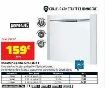 Bricorama Radiateur à Inertie Sèche Akela offre