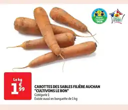 Auchan Carottes des sables filière auchan cultivons le bon offre